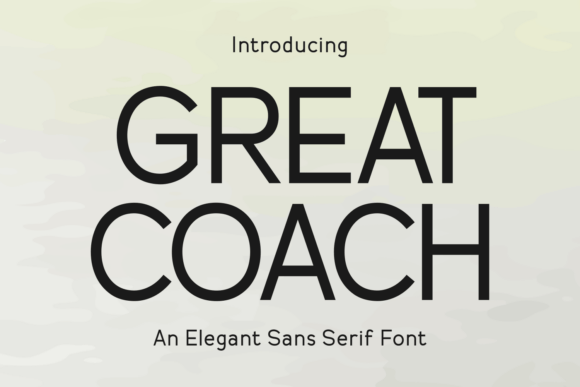 The Silent Authority: Why Great Coach Defines the New Era of Professional Communication